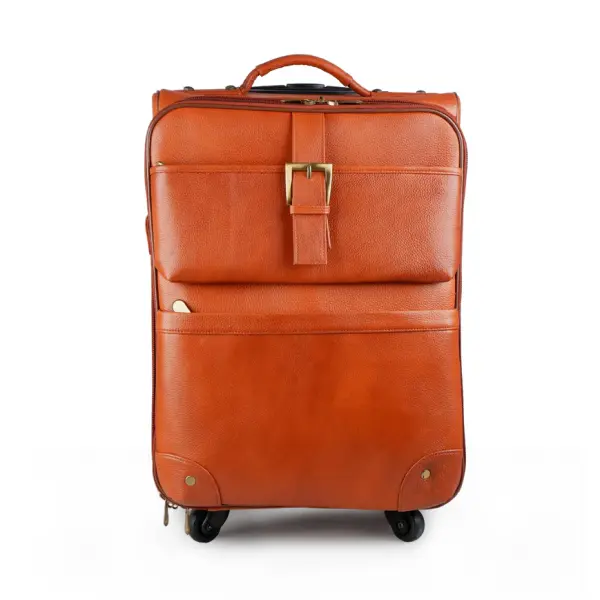 Tan Brown Cabin Trolley Suitcase