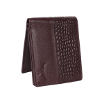 Crocélica – Fierce Croc. Timeless Grace.